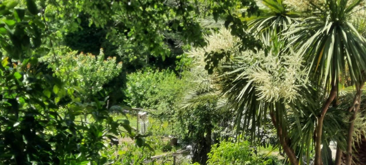 Vecchio Mulino Fontona Ortensia Chiesanuova  Exteriör bild