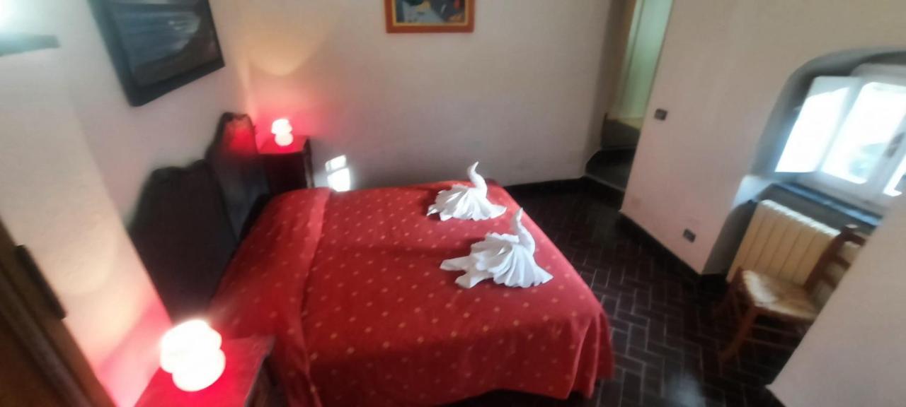 Vecchio Mulino Fontona Ortensia Chiesanuova  Exteriör bild